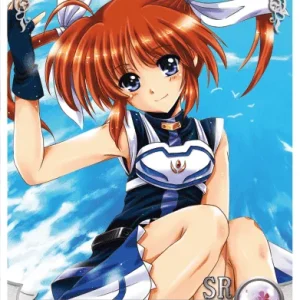 Nanoha Takamachi